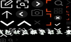 TP钱包被盗报警能立案吗？