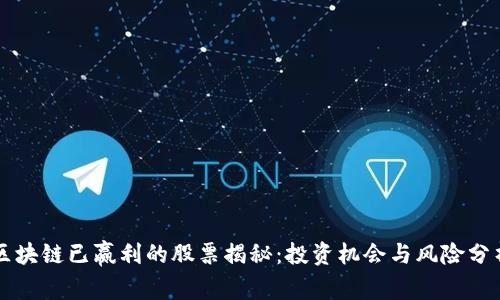 区块链已赢利的股票揭秘：投资机会与风险分析