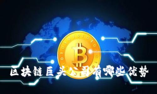 区块链巨头公司有哪些优势